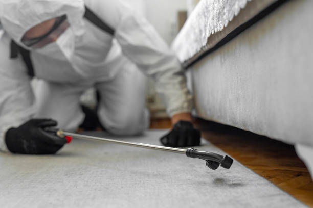 Professional Bed Bug Control technician working in Cross Plains, TX